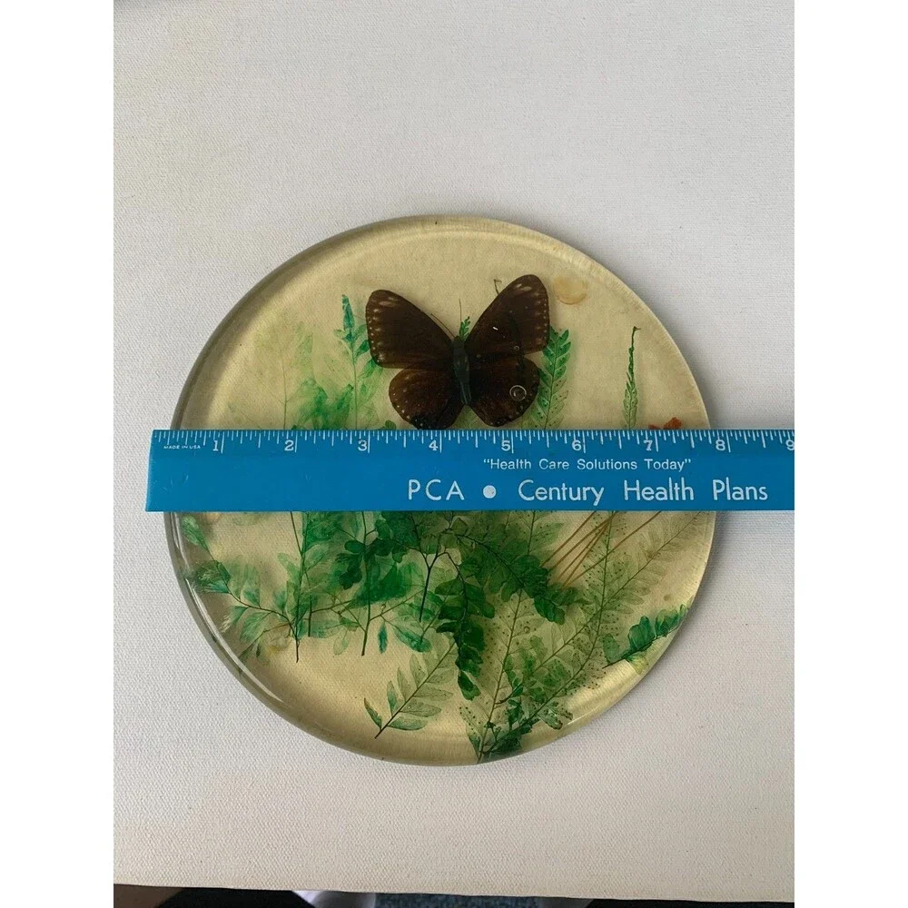 Vintage 60s Acrylic Lucite Butterfly Moth  Dried Flowers Fern Trivet Hot Pad MCM